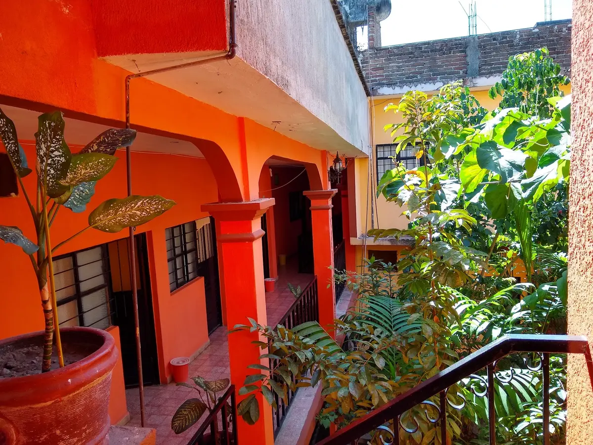 Hospedaje La Selva
