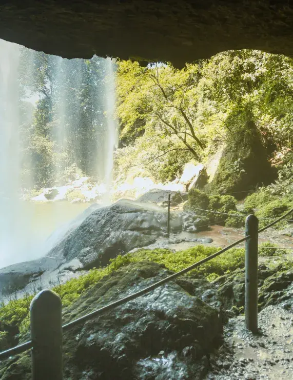 Hotel Maya Tulipanes Palenque — foto 4 de 4