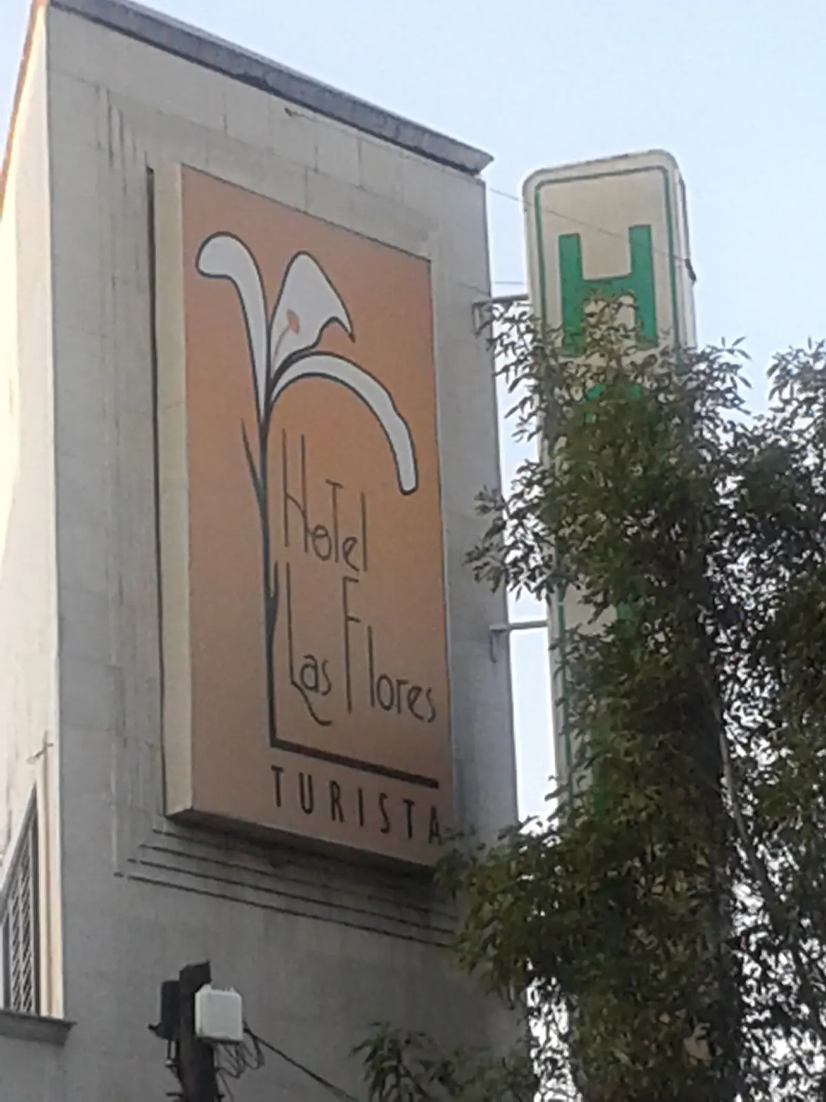Hotel Turista Las Flores — foto 8 de 8