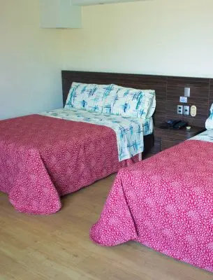 Hotel Campo Real — foto 4 de 4