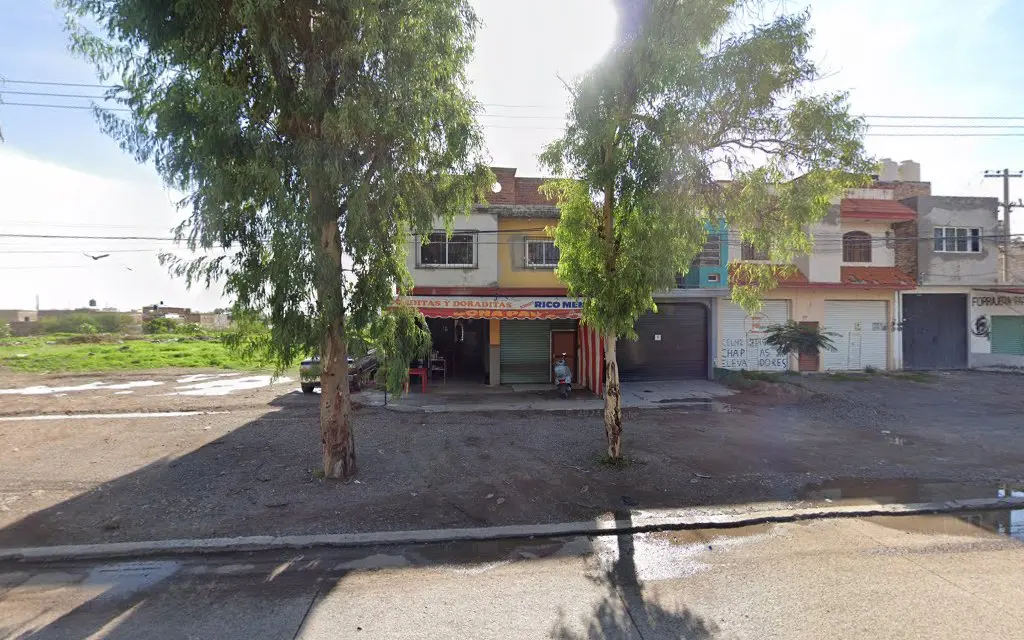 Hotel Posada "El Tulipan"