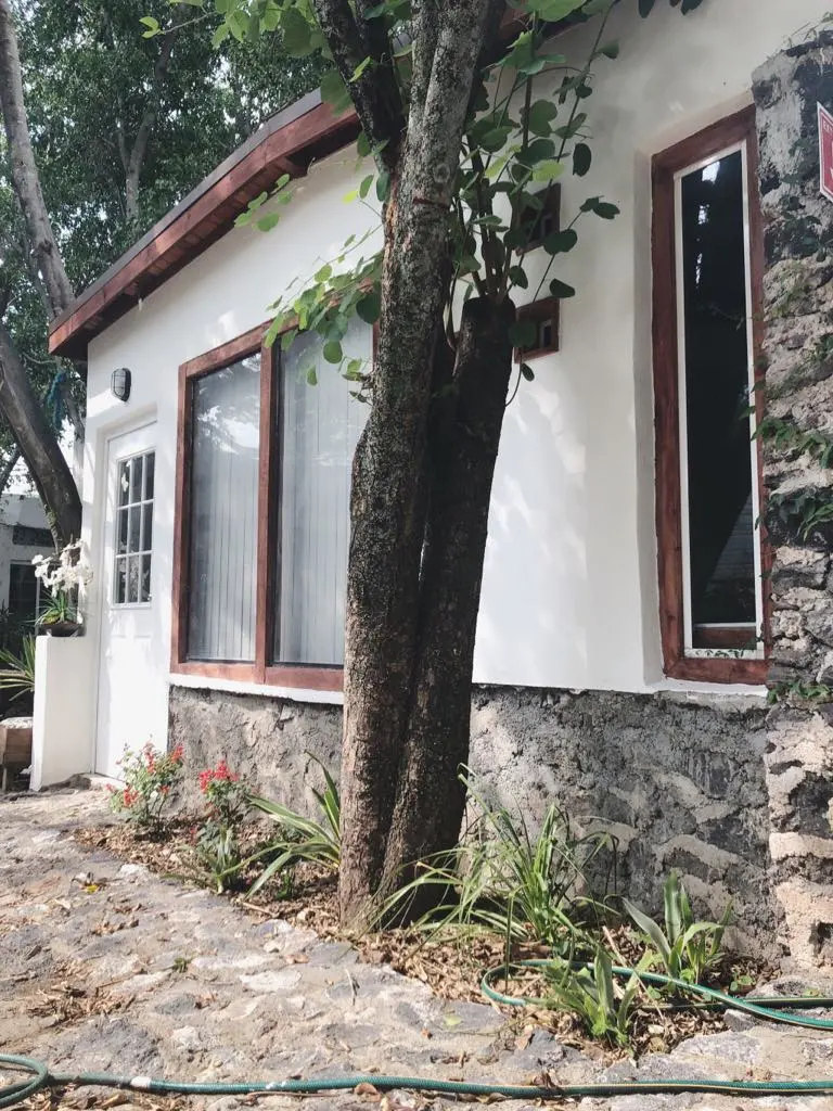 NIDO DE COLIBRÍ — foto 1 de 3
