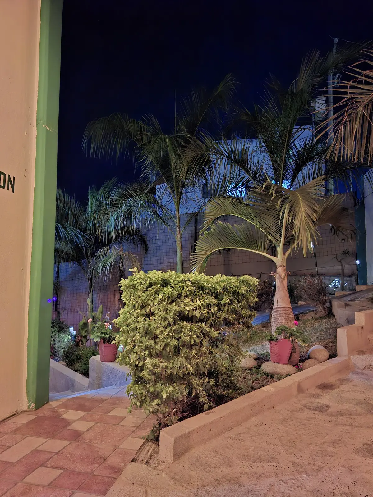 Hotel Casa Palmas — foto 4 de 5