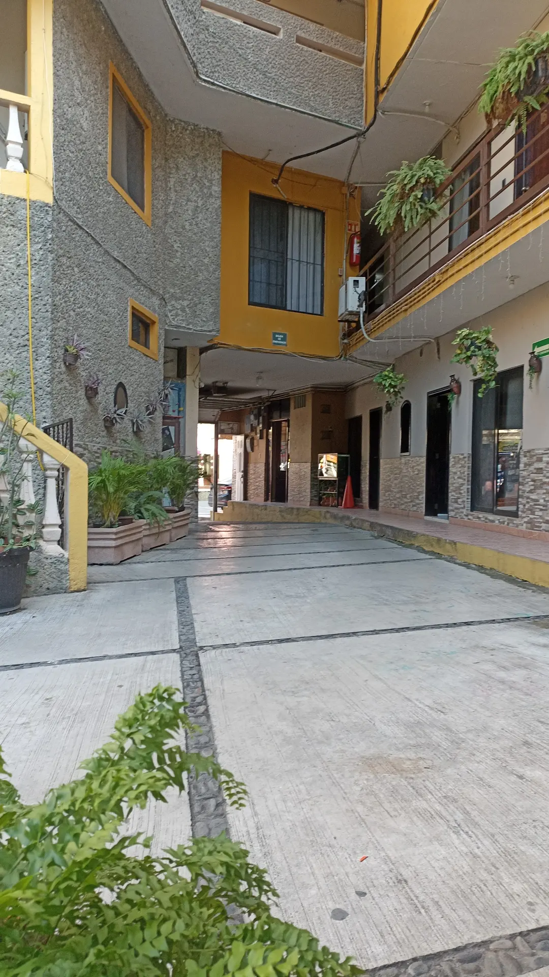 Hotel Juárez — foto 3 de 3