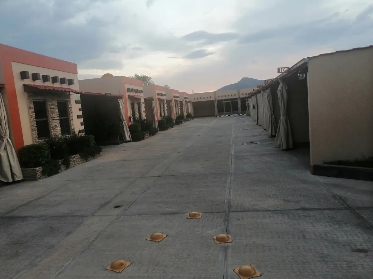 MOTEL CACTUS