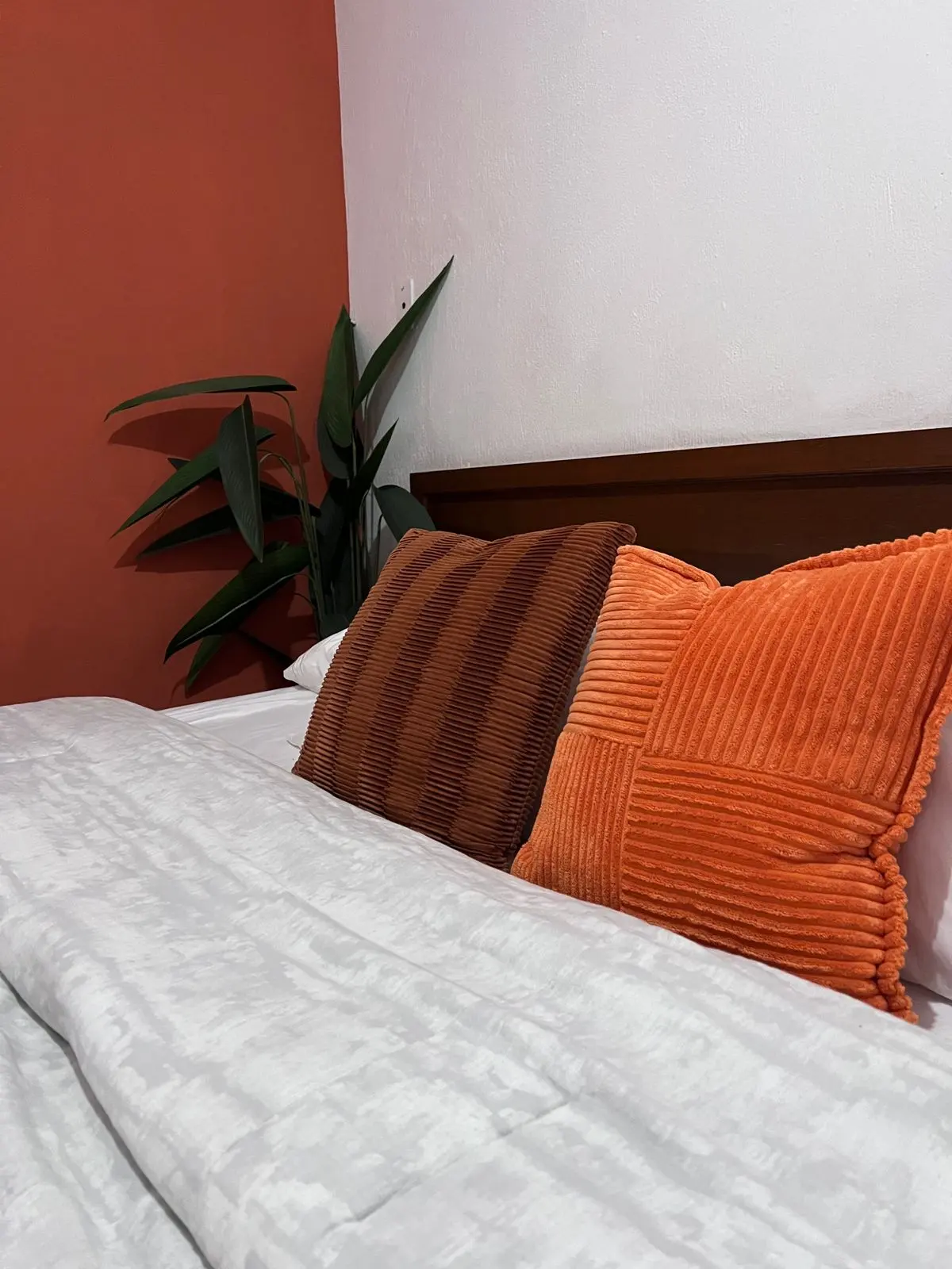Hotel Citlali