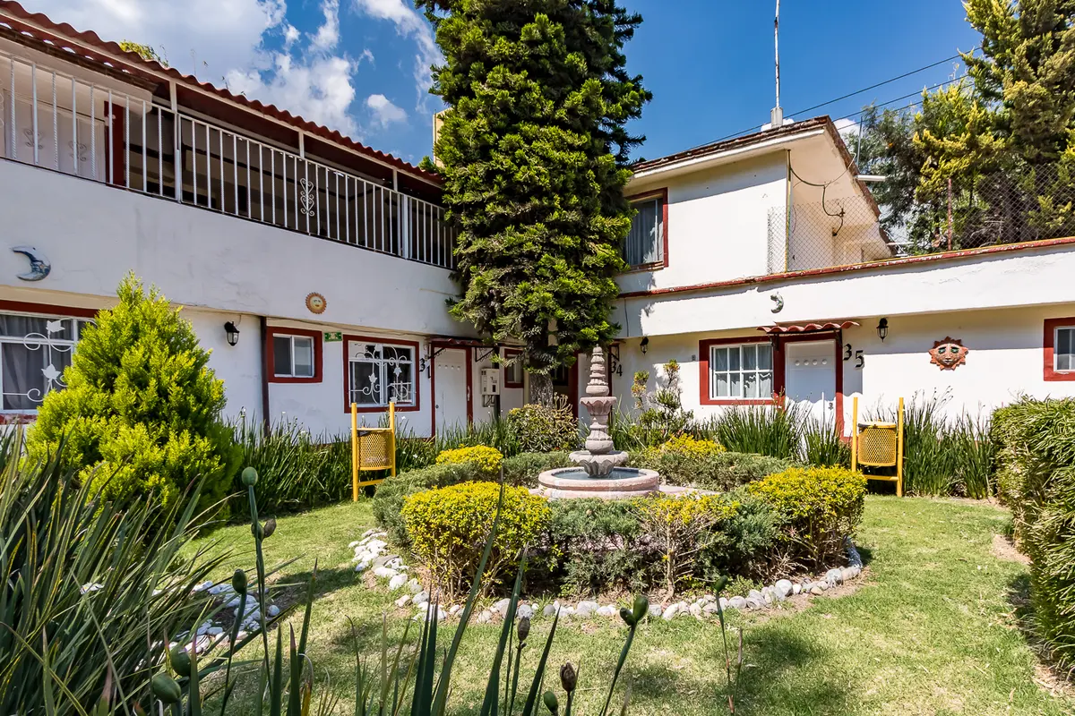 Meson del Rio