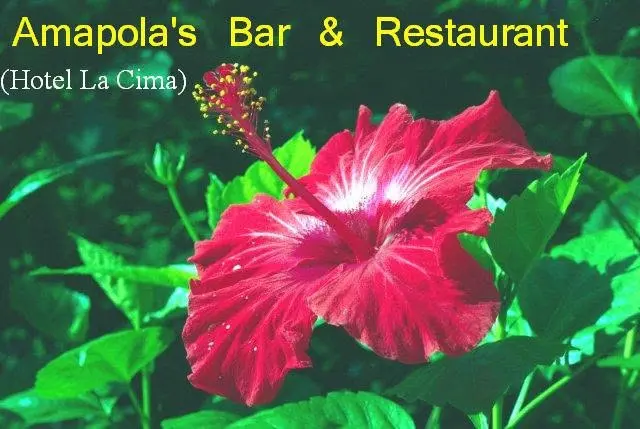 Hotel La Cima