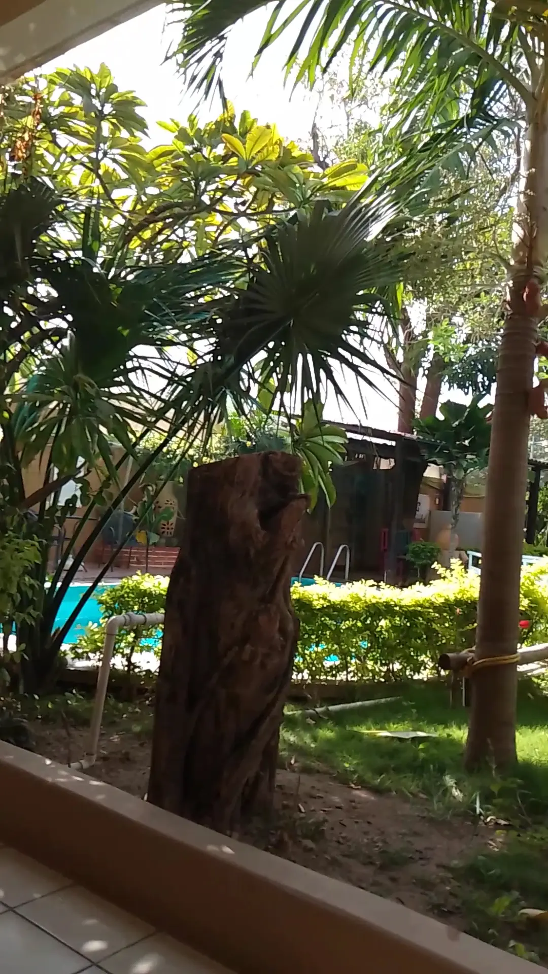 Hotel Xcaanda' — foto 2 de 3