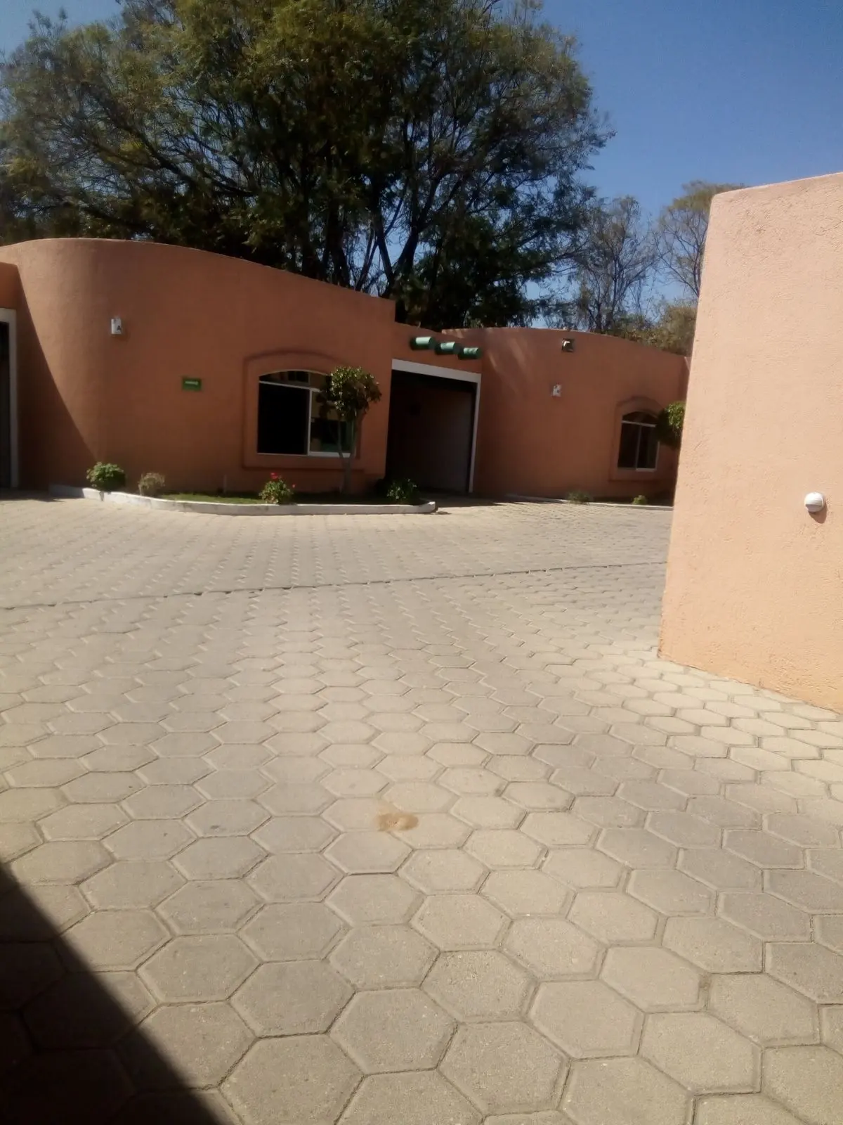 Motel Oasis