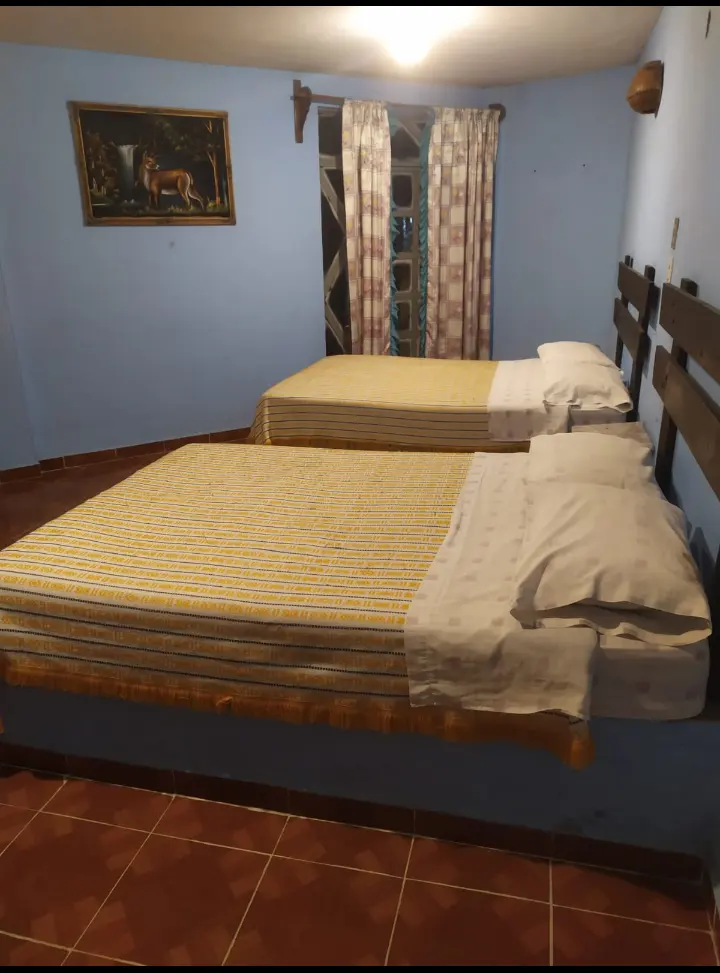 Hotel Flor del Campo — foto 2 de 3