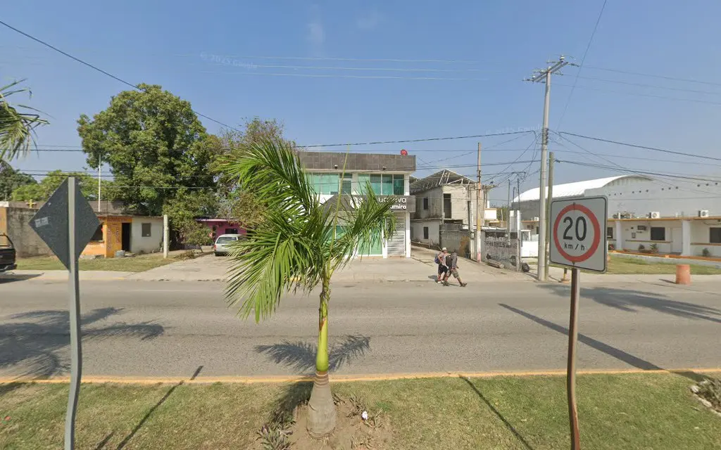 Hotel Cedros