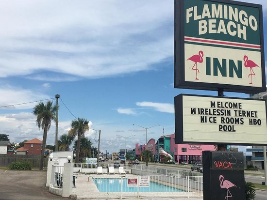 Flamingos Auto Hotel